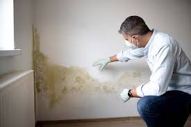 Why You Should Choose Our Mold Remediation Services in Lenox, IA